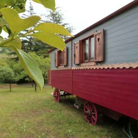 I Tre Abeti - Holiday House Vezzano Ligure Exterior foto